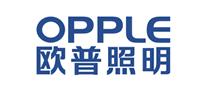 2022年中国十大灯具品牌排行榜(图2) 2022年中国十大灯具品牌排行榜(图2)