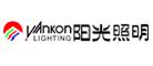 2022年中国十大灯具品牌排行榜(图8) 2022年中国十大灯具品牌排行榜(图8)