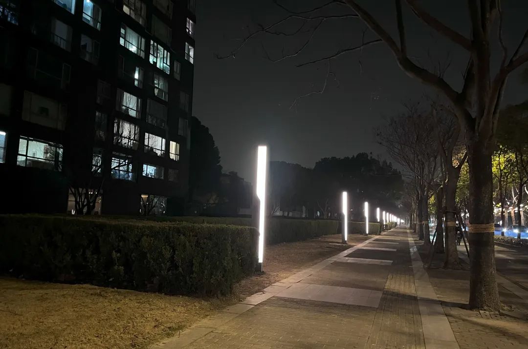 亮了靓了!改善居民出行体验她建议……(图5) 亮了靓了!改善居民出行体验她建议……(图5)