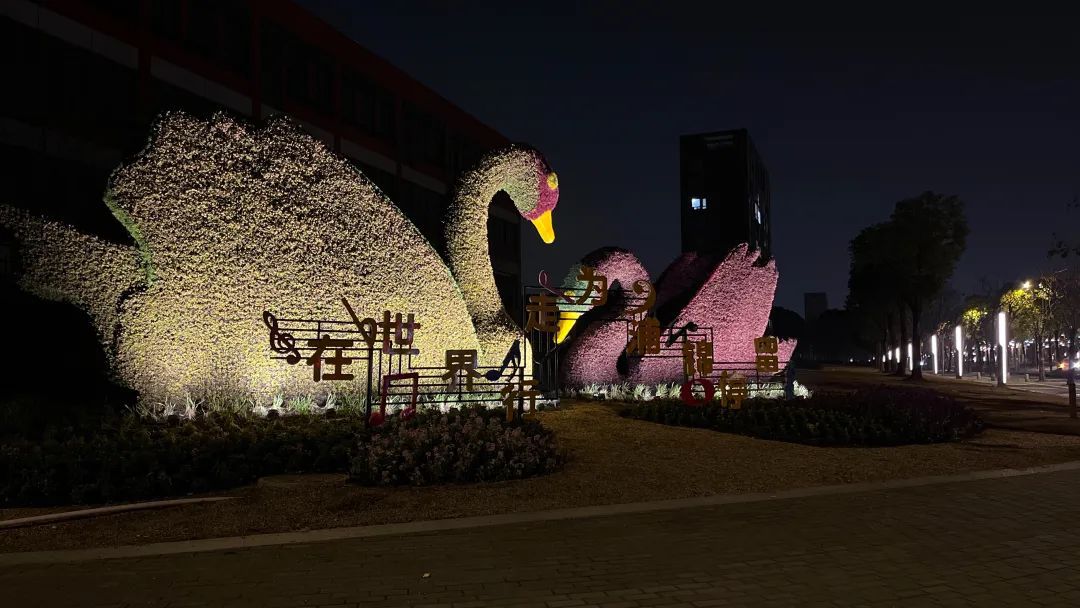 亮了靓了!改善居民出行体验她建议……(图6) 亮了靓了!改善居民出行体验她建议……(图6)