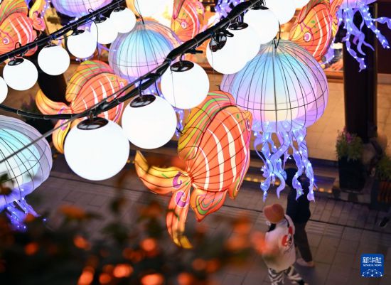 2024上海豫园民俗艺术灯会亮灯(图1) 2024上海豫园民俗艺术灯会亮灯(图1)
