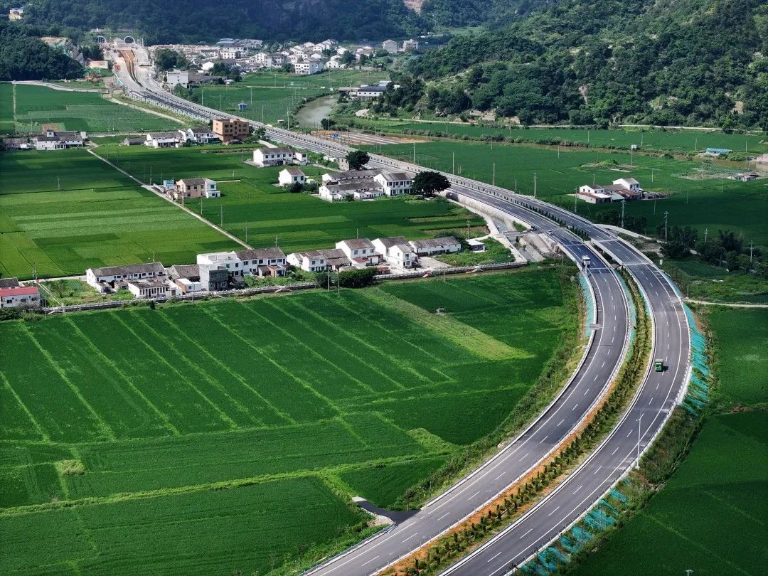 通车！洲明16000余套照明灯具点亮浙江228国道(图1)