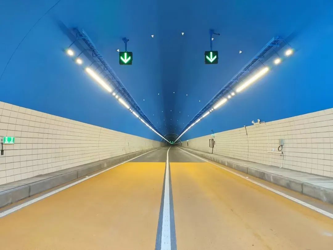 通车！洲明16000余套照明灯具点亮浙江228国道(图2)
