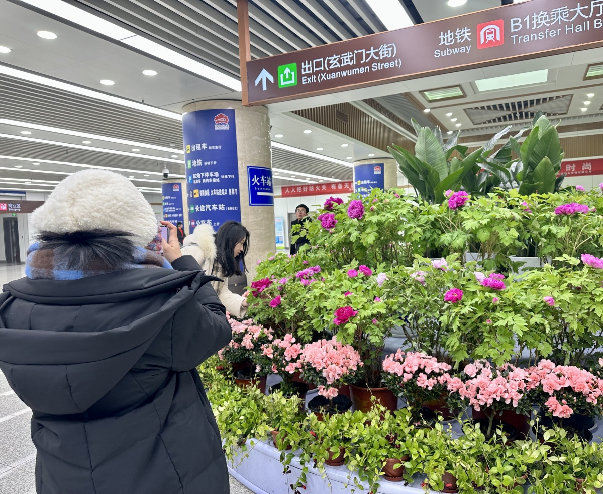人气爆棚!春节假期洛阳三大公园接待游客7138万人次(图7) 人气爆棚!春节假期洛阳三大公园接待游客7138万人次(图7)