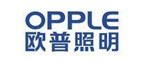 中国智能家用照明灯具行业十大品牌排行榜(图1) 中国智能家用照明灯具行业十大品牌排行榜(图1)