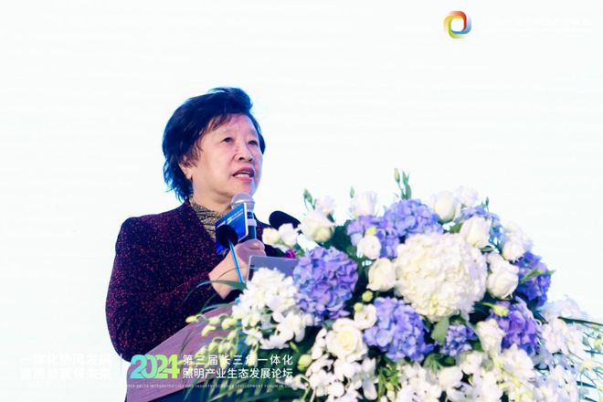 一体化协同发展 高质量赢领未来!2024第三届长三角一体化照明产业生态发展论坛圆满落幕!(图10) 一体化协同发展 高质量赢领未来!2024第三届长三角一体化照明产业生态发展论坛圆满落幕!(图10)
