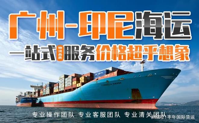 中山灯具海运出口到印尼双清到门拼箱整柜海运到雅加达(图3)
