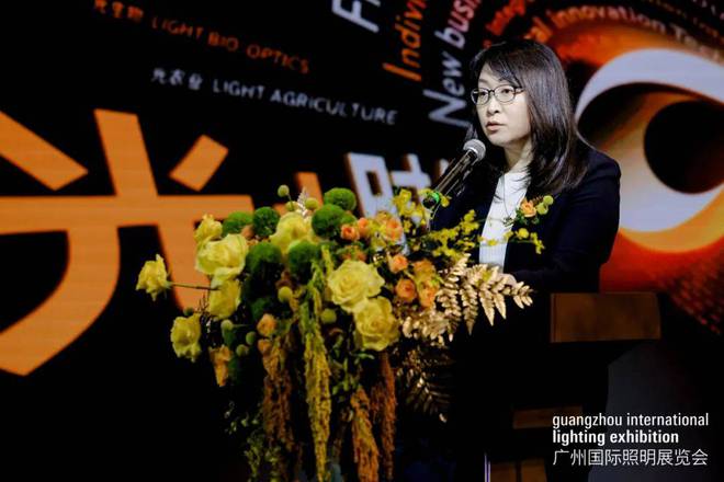 2024广州国际照明展览会及广州国际建筑电气技术展览会发布会回顾(图2)