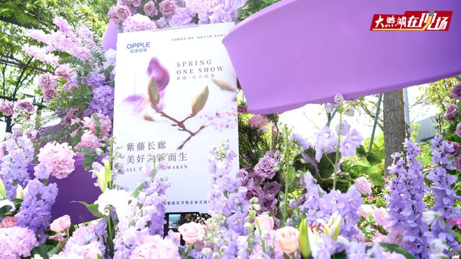 欧普照明马志伟:我们希望跳出行业的“卷”进一步将行业天花板打开…(图2) 欧普照明马志伟:我们希望跳出行业的“卷”进一步将行业天花板打开…(图2)