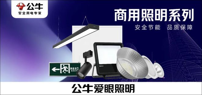 临沂天马灯饰董事长刘治国：智能不是“刚需”但目前是“需求”！(图5)