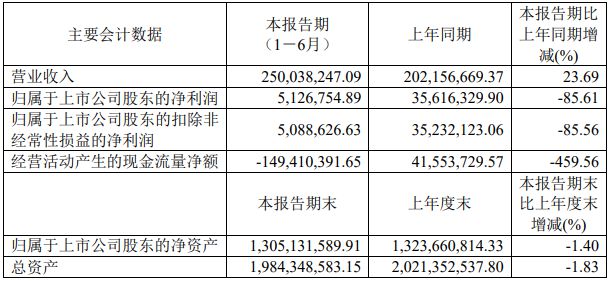 利亚德3631亿、欧普3366亿、伊戈尔2053亿…更多半年报来了！(图7)