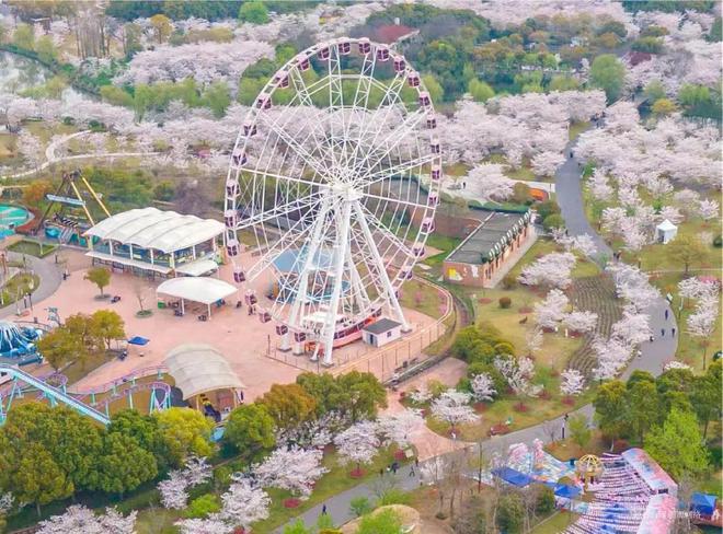 ◈中建山水雅境 宝山中建山水雅境官方售楼处发布：豪宅热卖中(图14)