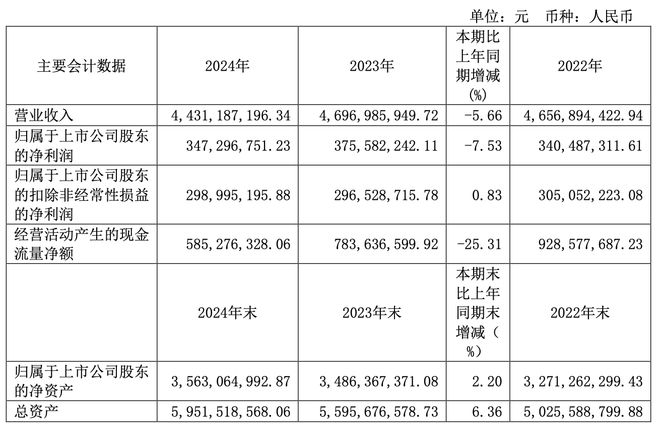 得邦照明押注车载业务2024年营收不升反降(图1) 得邦照明押注车载业务2024年营收不升反降(图1)
